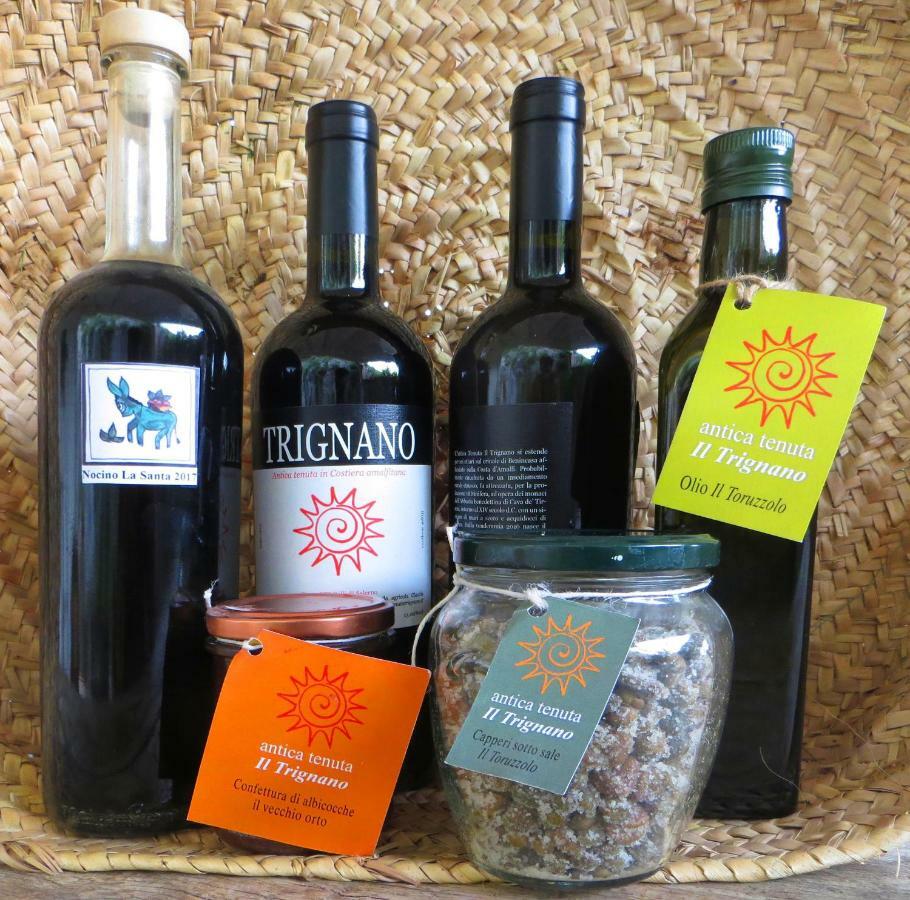 VietriAncient Estate "Il Trignano"别墅 外观 照片