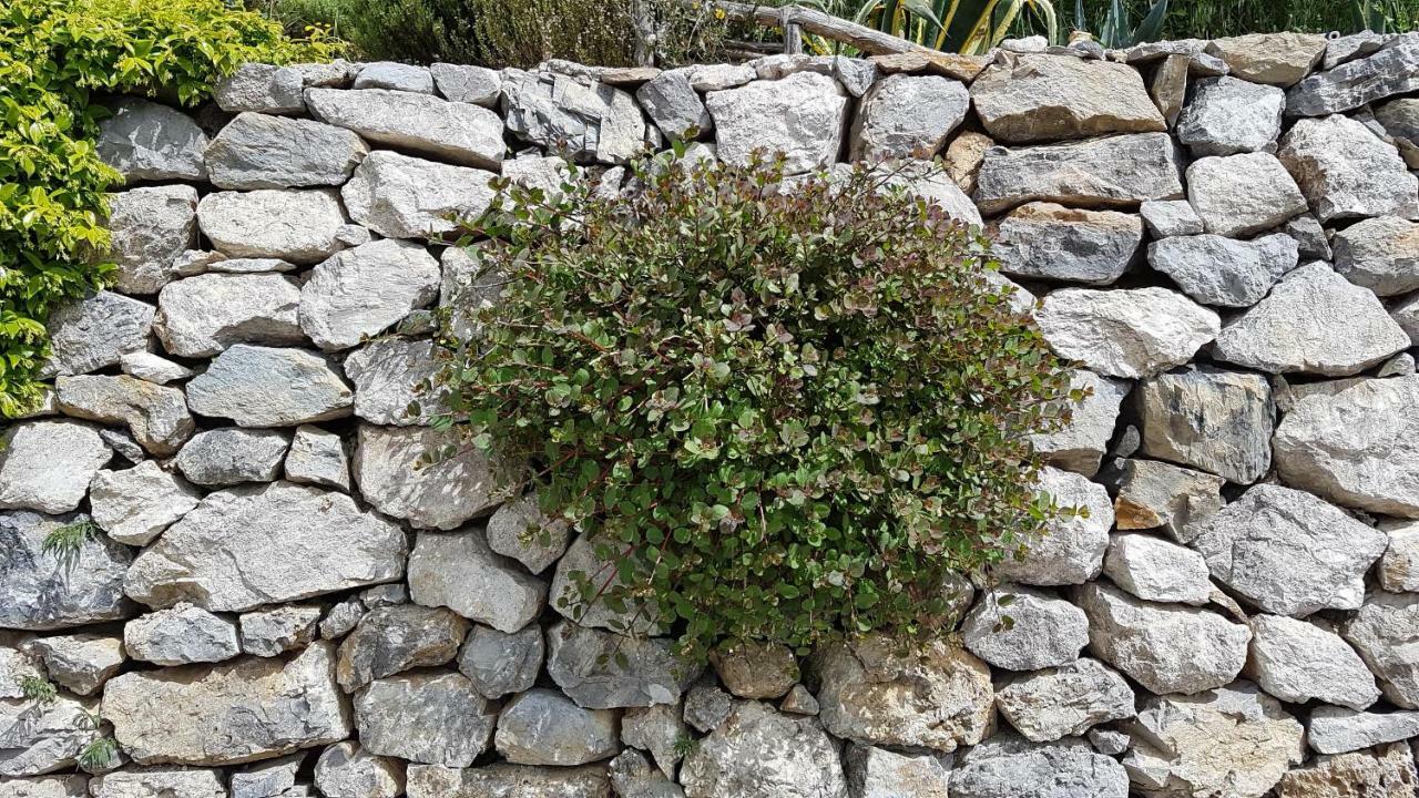 VietriAncient Estate "Il Trignano"别墅 外观 照片