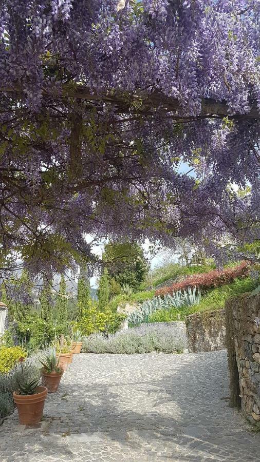 VietriAncient Estate "Il Trignano"别墅 外观 照片