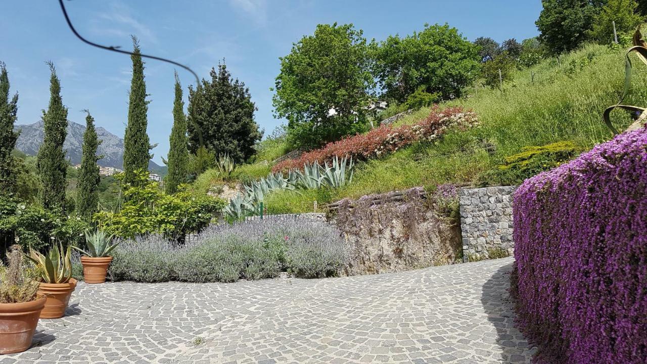 VietriAncient Estate "Il Trignano"别墅 外观 照片