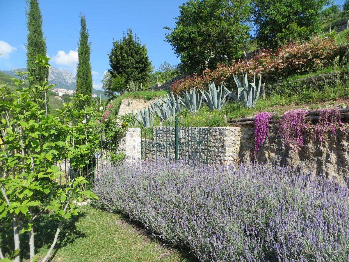 VietriAncient Estate "Il Trignano"别墅 外观 照片